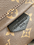 LOUIS VUITTON PALM SPRINGS PM